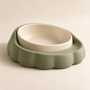 Nest Bowl Dock AI concept view 1