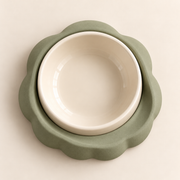 Nest Bowl Dock AI concept view 2